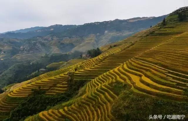 广西深秋好看的地方,广西的秋天哪里风景最美