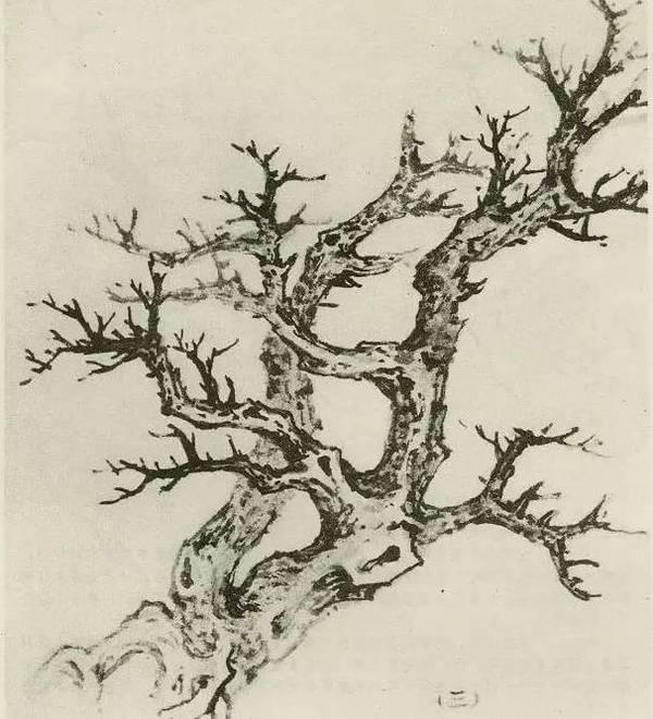 山水画画树的教学视频,山水画基础画树技法合集