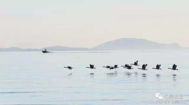 尼康d850数码单反摄影圣经,尼康d850的深度评价