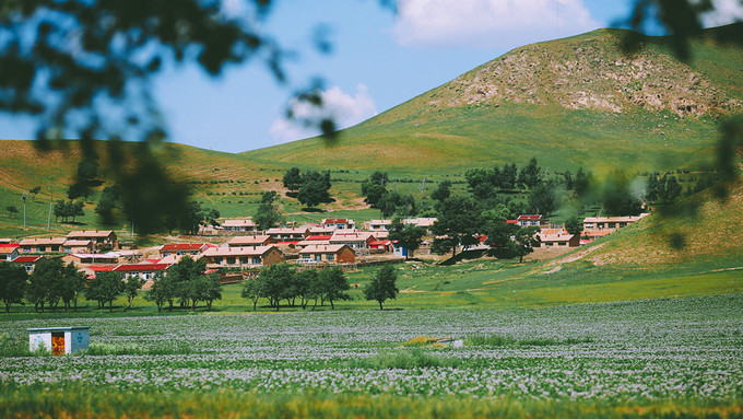 自驾游记初秋内蒙草原风光无限,内蒙大草原之旅自驾游哪里最美