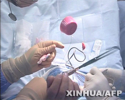 探寻中医药的奥秘,解开中医药几千年的谜团