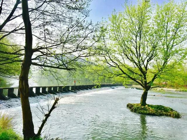 大梦初醒古诗视频,大梦初醒的古诗