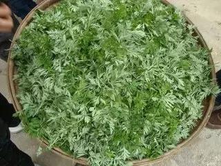 男人用中药泡脚的好处,中药泡脚好处多六大禁忌需注意