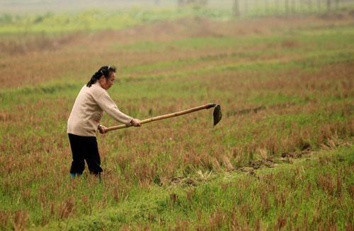 老婆嫌弃我妈唠叨怎么办,老婆经常说我妈不好怎么回复