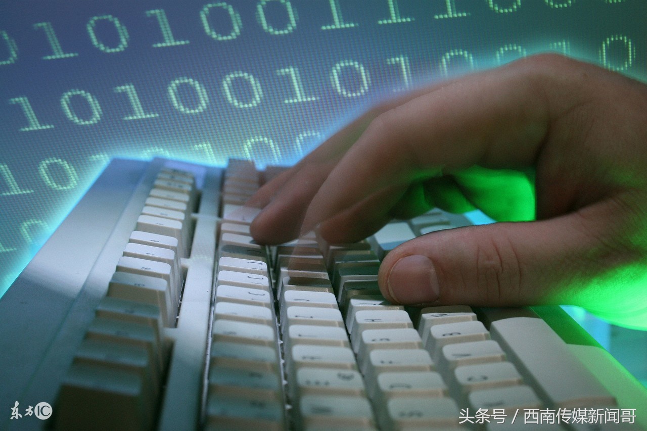 杭州森雅农业电商平台,打造互联网农业电商平台