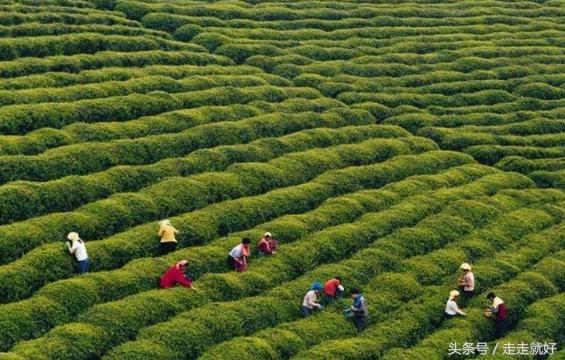 中国最美小镇——浙江省舟山市东沙镇，它有怎样的美