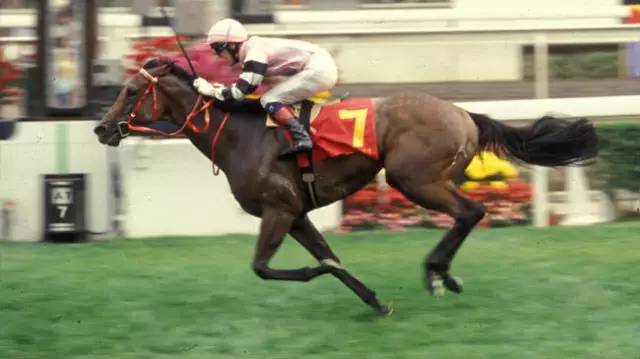 你不知道的十件事纪录片,你不知道的那些鸡毛蒜皮的事