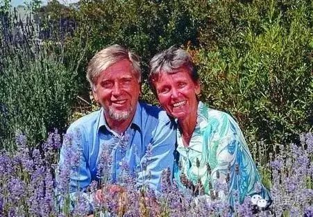 因为种玫瑰花,“她”从澳洲火到了全球!