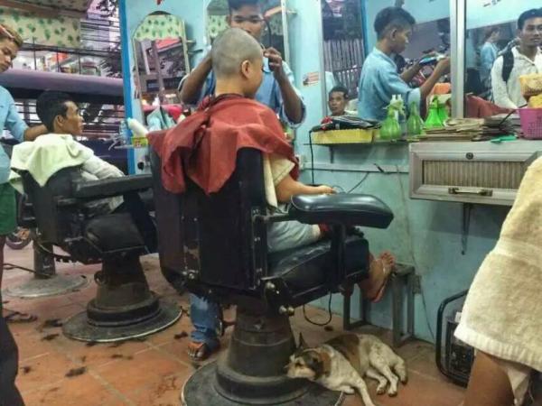 女生光头代表什么意思,女生光头是什么体验