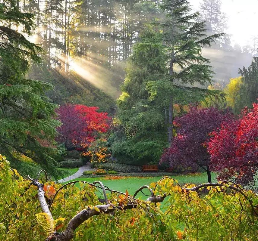 2018加拿大签证新政策是什么样的,2017加拿大签证攻略