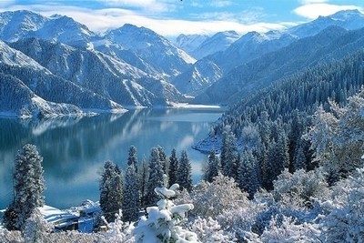 中国最美的十大森林,中国最美十大森林公园