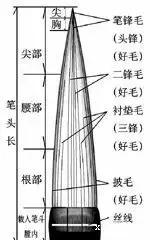 如何挑选毛笔笔锋长短,怎样挑选书法毛笔