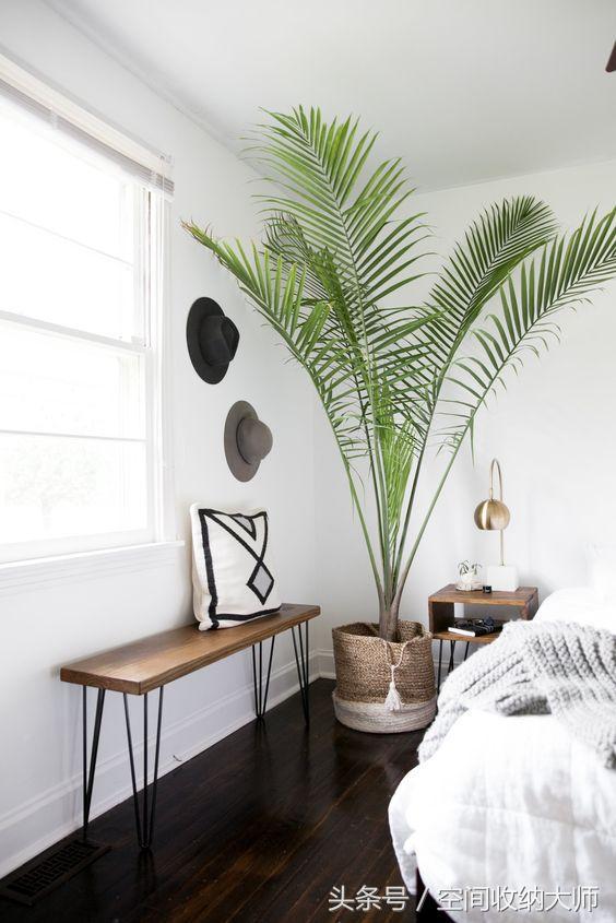 十年室内除味最好办法,除味小妙招室内卧室