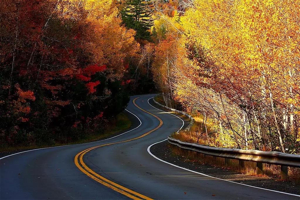 2018加拿大签证新政策是什么样的,2017加拿大签证攻略