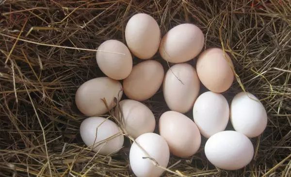 bb打完疫苗注意事项,宝妈刚生完宝宝注意事项