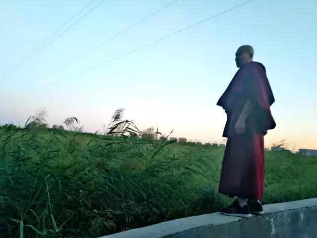 放生就是假慈悲,放生就是积德还是造孽