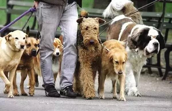 这个蛰伏十年的万亿级行业,一个可持续繁荣的行业