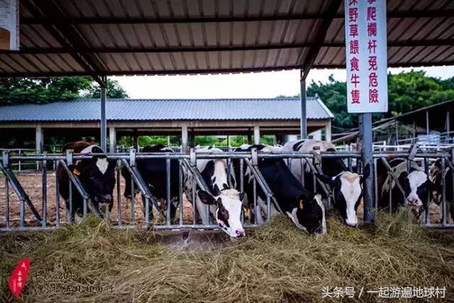 台湾八天自由行攻略,台湾亲子自由行攻略