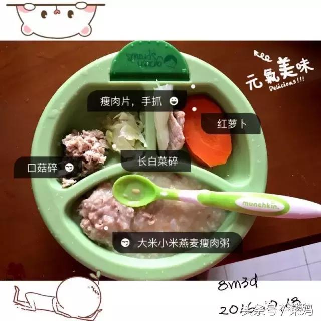 辅食工具哪些最实用魏老爸评测,辅食工具品牌排行榜前十名