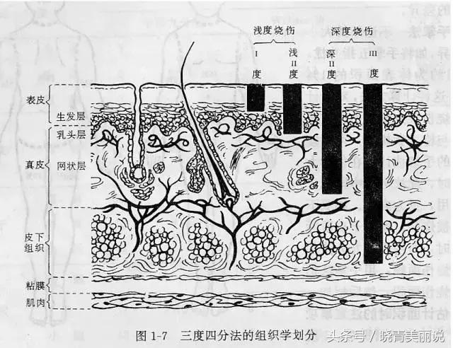 俞灏明被说丑悲伤,俞灏明烧伤后是怎么恢复的