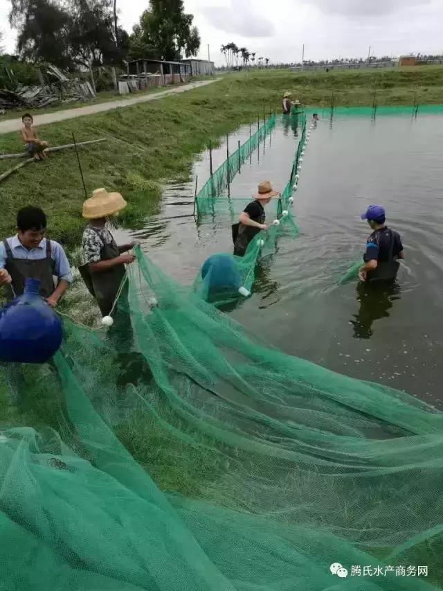 娴峰崡缃楅潪婊為攢浠锋牸,娴峰崡缃楅潪婊為攢瑙嗛