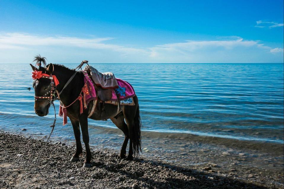 十一假期旅游推荐！大学生组团旅游最强攻略
