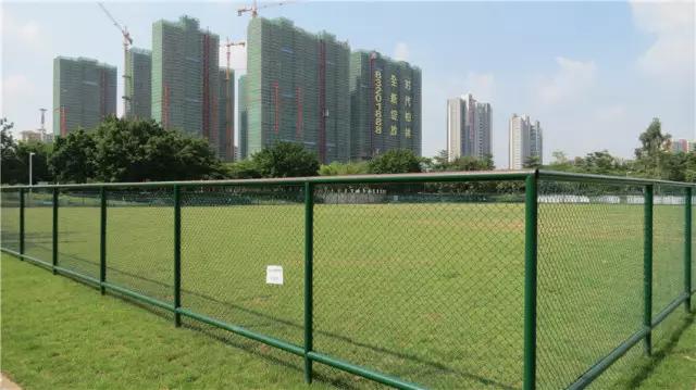 待到明年春来，许你千米桃花，番禺这里将打造2000平方米桃花林！