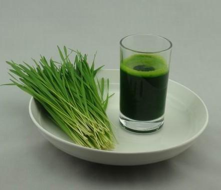 你的智商交税了吗,你真的理解智商税么