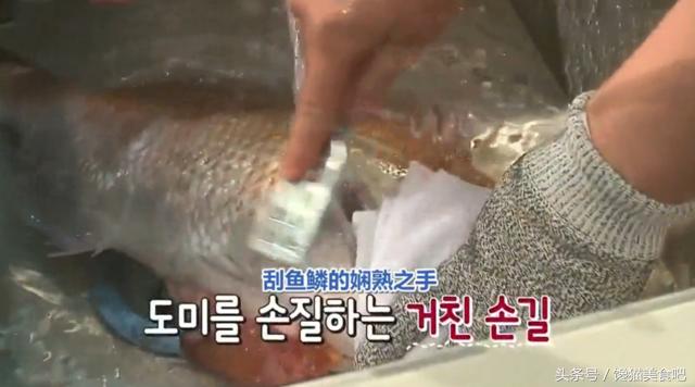 韩国人切活生鱼片视频,韩国人说切生鱼片