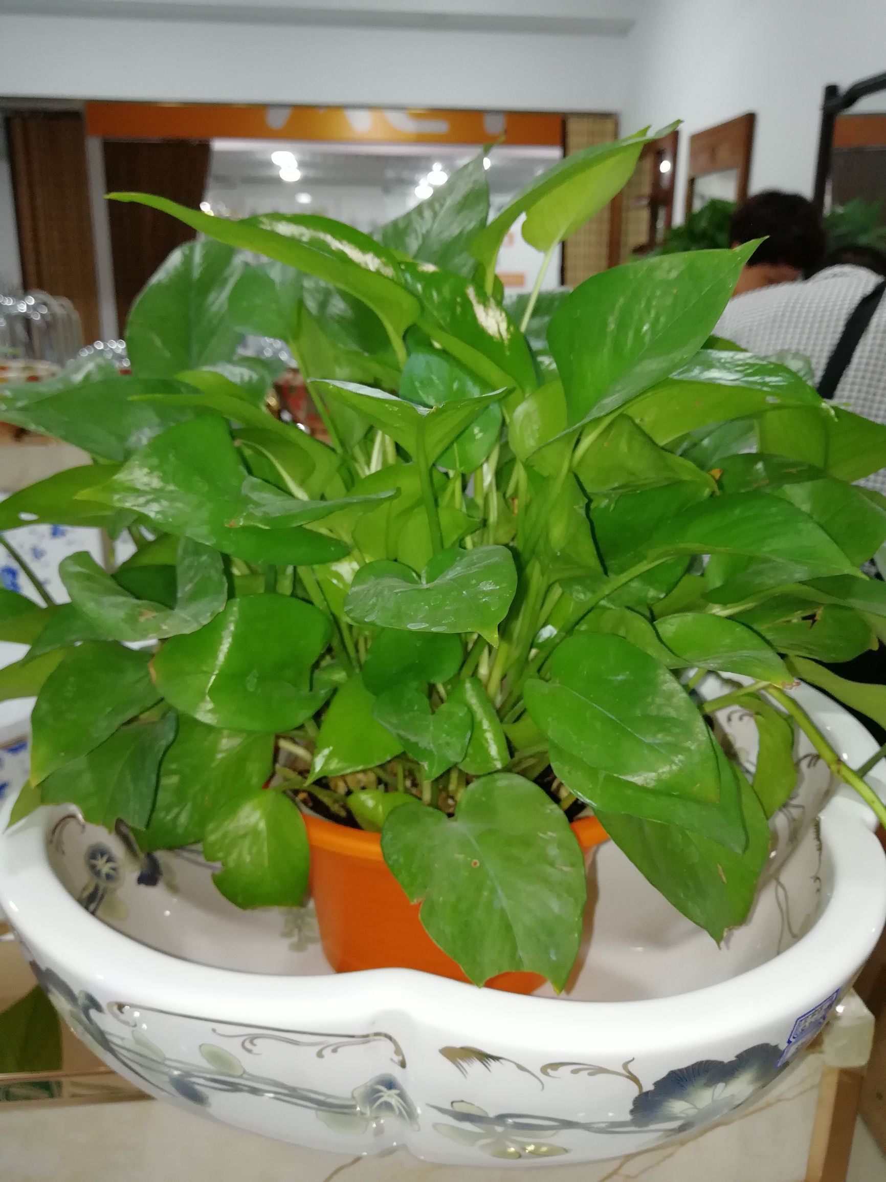 怎样享受生活才让自己活得有意义,怎样活在当下