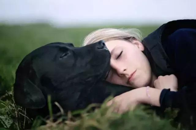 宠物和孩子不能单独在一起,宠物和小孩共存会怎么样