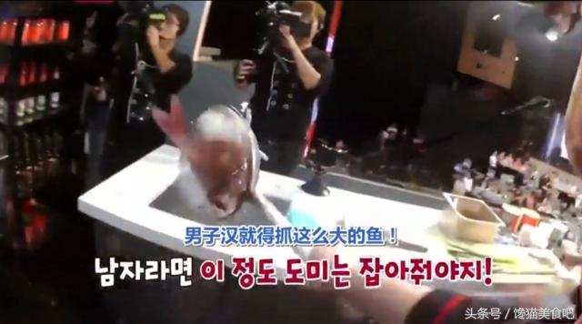 韩国人切活生鱼片视频,韩国人说切生鱼片