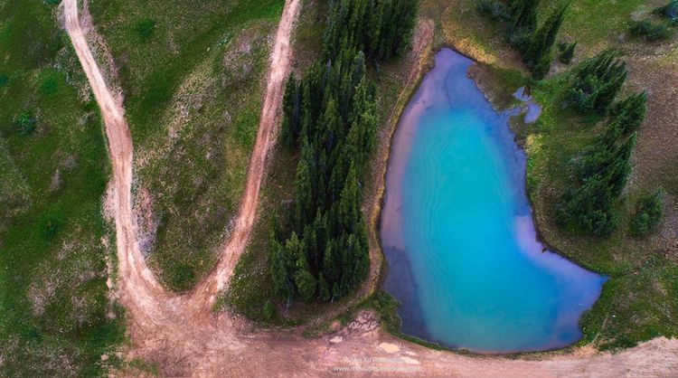 就让我随你去,去俯瞰多姿多彩的大千世界