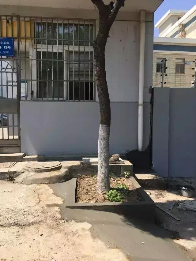 太阳能路灯自助洗车点,栖霞区迈皋桥自助洗车