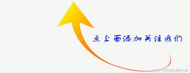养肝最好的喝什么茶才能养肝,喝什么茶养肝最有效的方法
