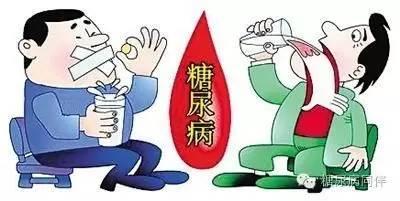 小麦胚芽轻断食,探秘轻断食的减脂成分