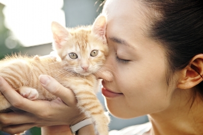 十部顶级喵星人动画片,猫咪动画片视频大全