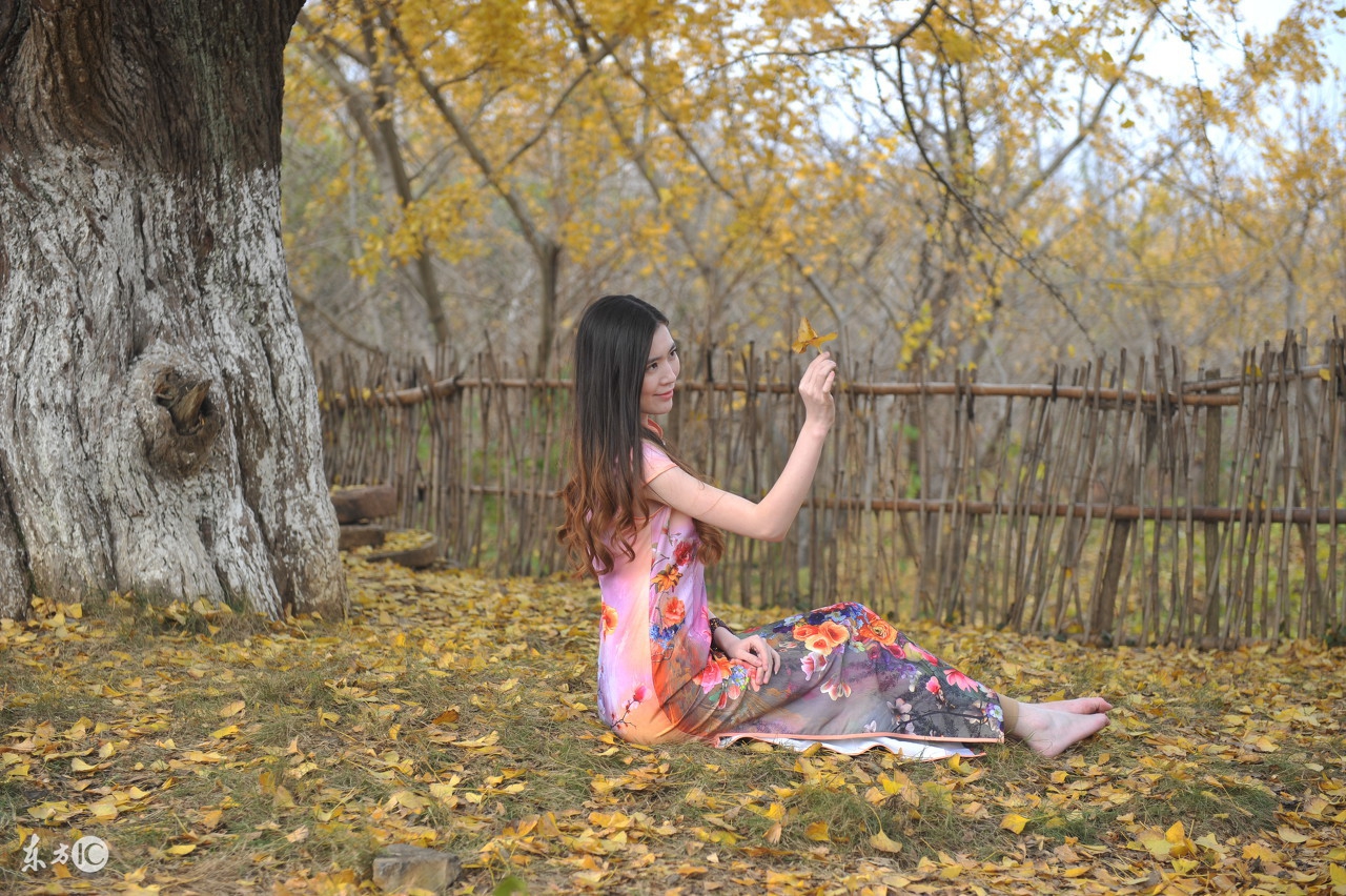 古代宫廷历史讲解,古代宫廷讲解