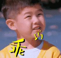 荷兰猪第一次下水洗澡,荷兰猪洗完澡第二天死亡