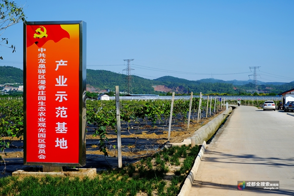 漫香庄园图片,龙泉驿区漫香庄园规划