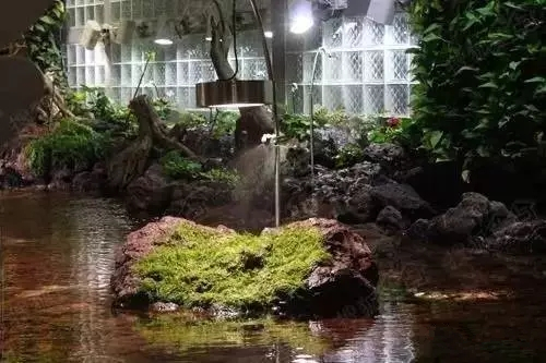 去郑州哪里旅游最便宜又好玩,郑州值得旅游的地方有哪些