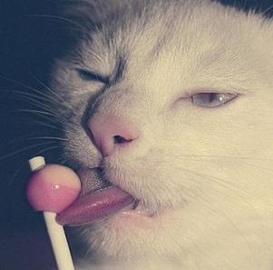 那些年你从未忘记过的美味,那些年你垂涎过的课本美食