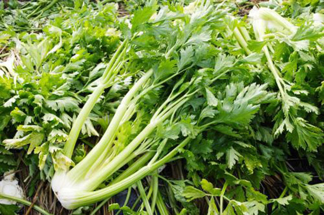 吃什么食物能补肾生精最多最快,杀精的食物有哪些