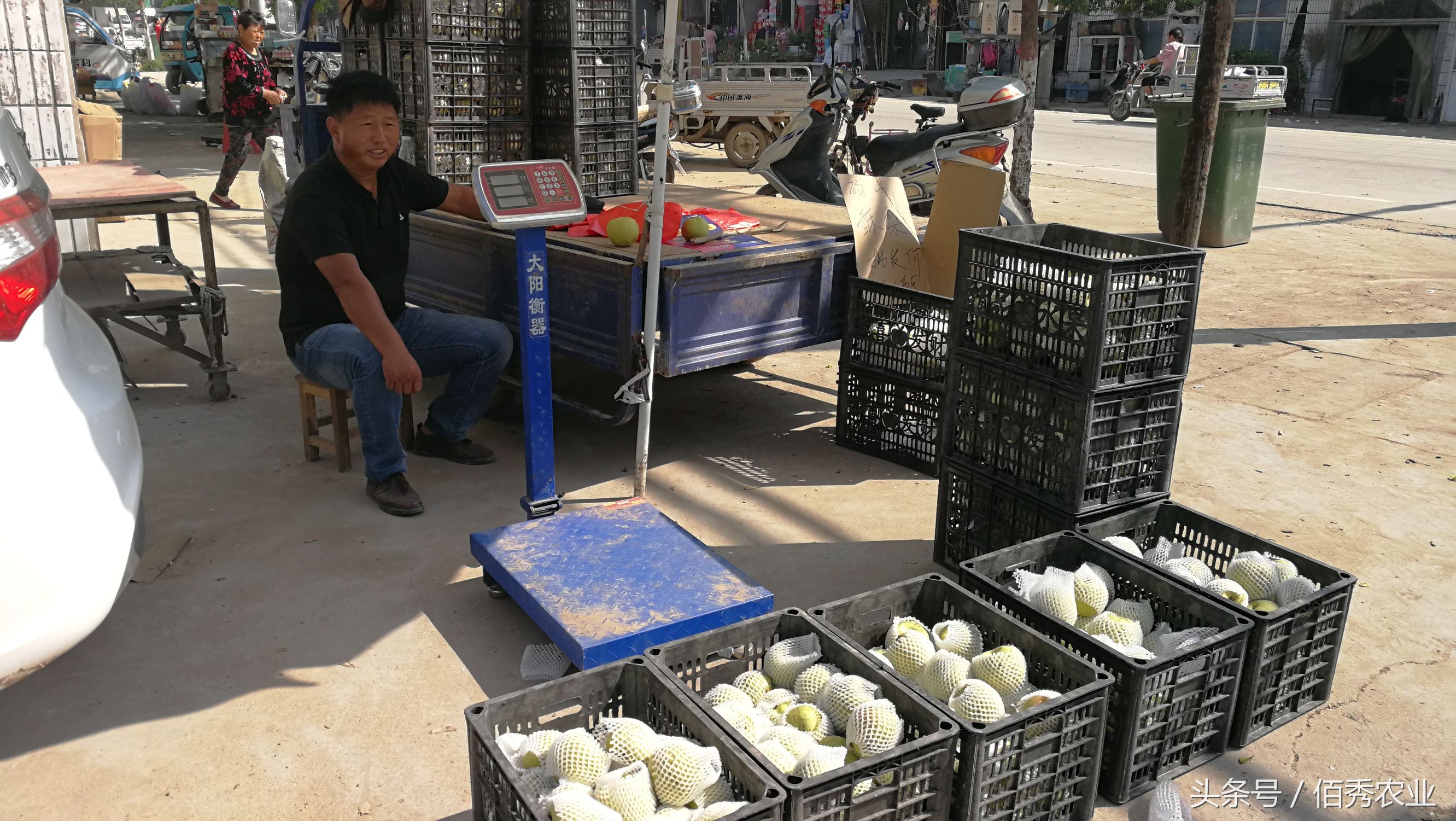 农村的聪明人，低价卖水果，为何还能赚大钱？