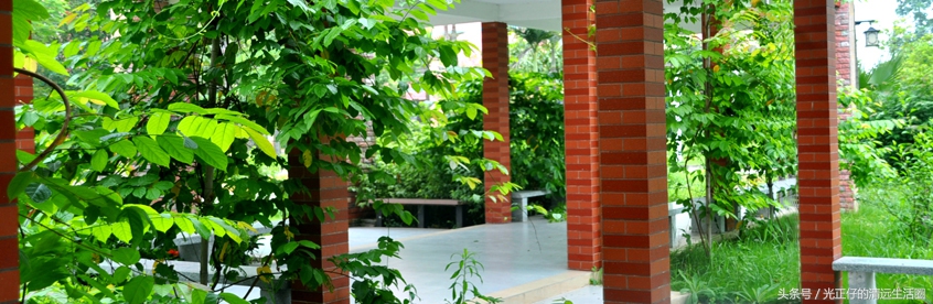 清远华侨中学简介,清远市清远华侨中学