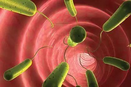 怀孕七个月产下死胎,怀孕7个月生下死胎