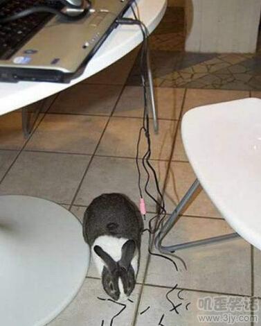 背上纹蝎子一年后图片,在背上纹个蝎子