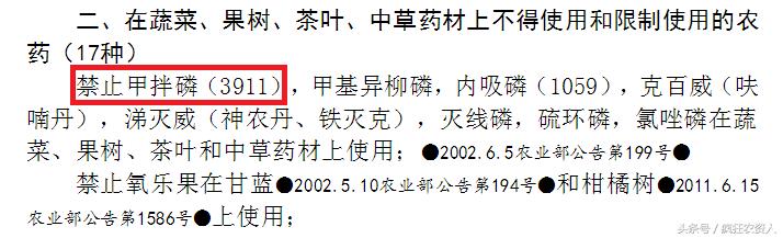 韭菜都打什么农药,韭菜舌尖上的农残高危蔬菜