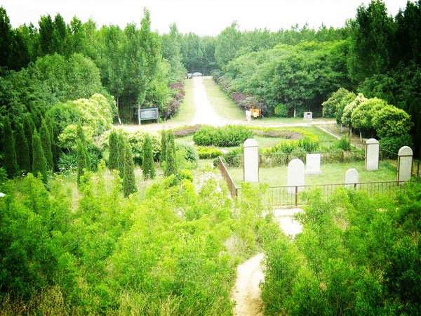 3月份适合放风筝的地方,几月最适合放风筝