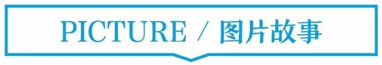 拿什么来叫醒你,拿什么唤醒你